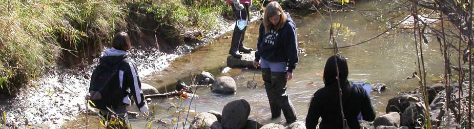 Students Surveying Stream