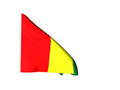 Guinea Guinea
