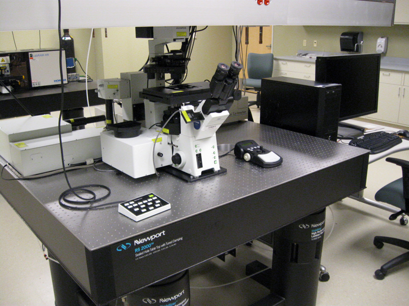 Laser Scanning Microscope