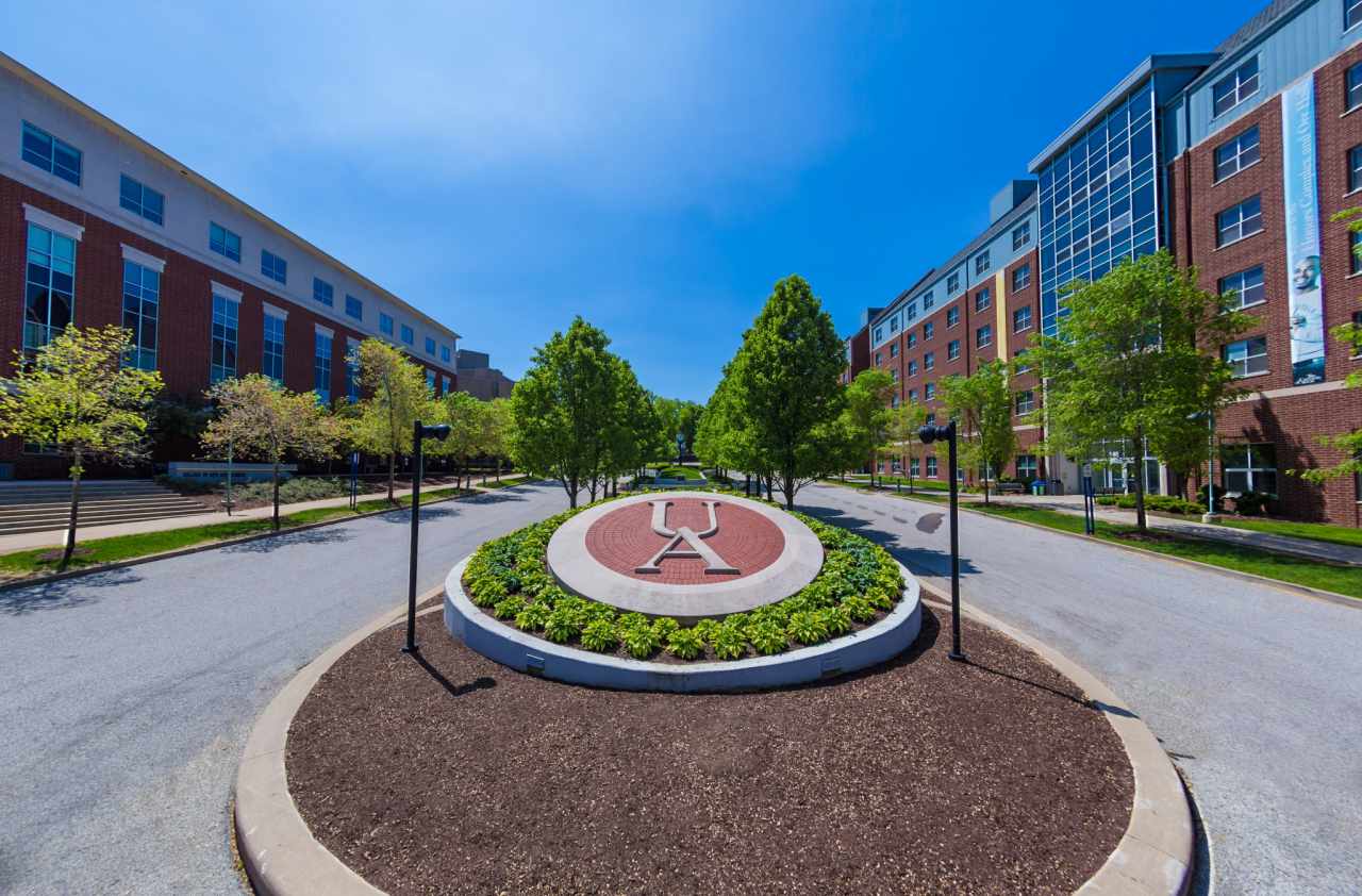 Bachelor's degree in social work : The University of Akron