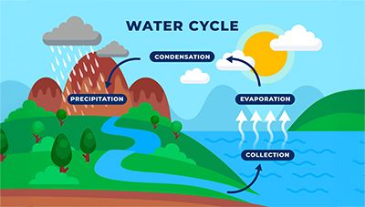 Water cycle: evaporation, condensation, precipitation, collection