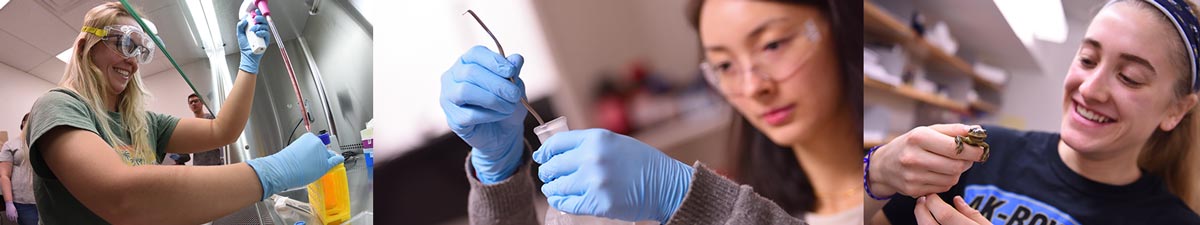 Women conducting research in labs at The University of Akron