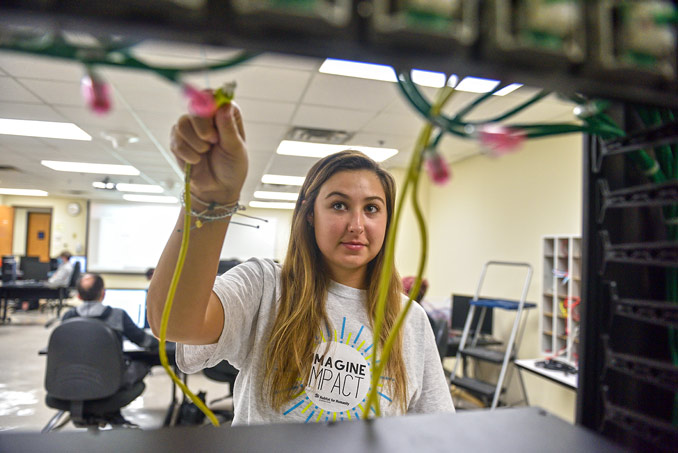 Four Akron Law students participate in a mock trial competition virtually