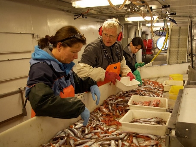 trawling3cruisechiefscientistjusteinrottinger.jpg