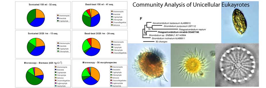 zcommunityanalysis924300.jpg.jpg