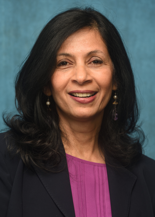 UA Professor Sucharita Ghosh