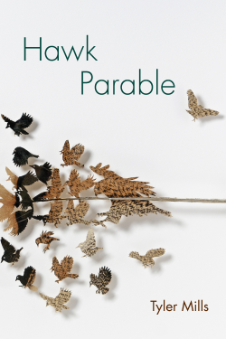 Hawk Parable by Tyler Mills