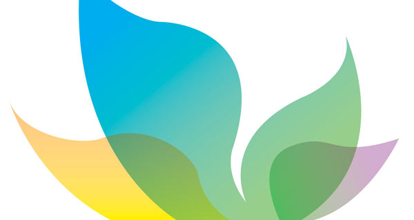 Drawing of flower petals