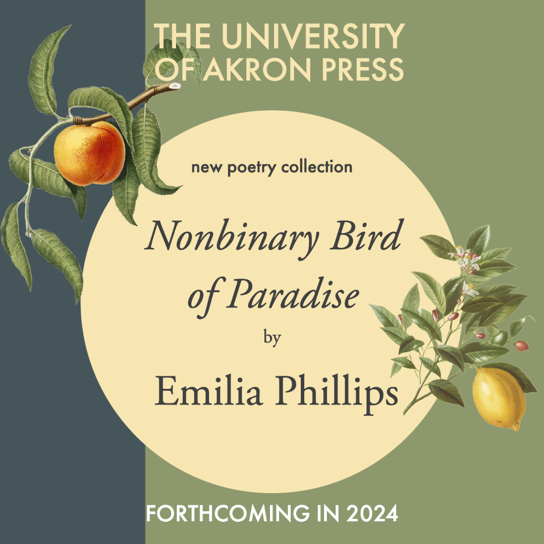 Nonbinary Bird of Paradise by Emilia Phillips