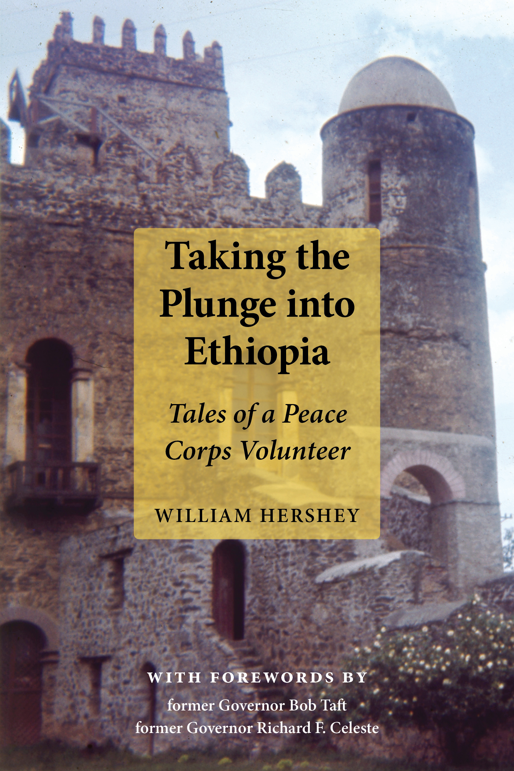 Taking the Plunge into Ethiopia – UA Press Catalog