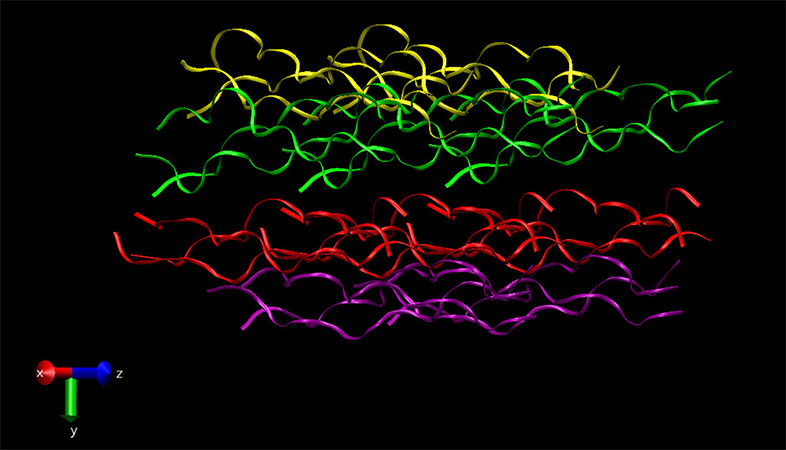 3D packing of collagen molecules in a fibril