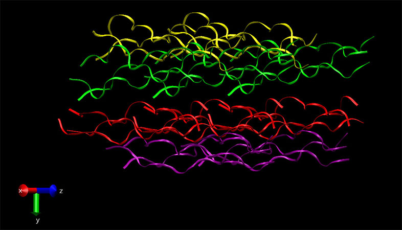 3D packing of collagen molecules in a fibril