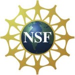 NSF-150x150.jpg