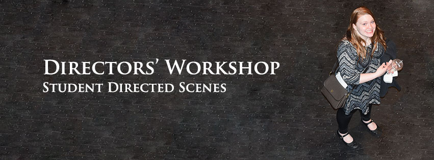 University of Akron Directors' Workshop