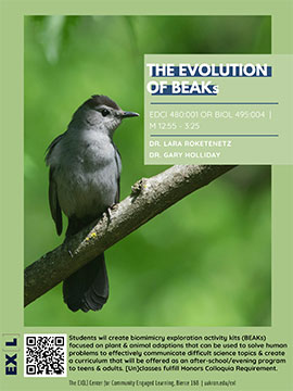 evolution-of-beaks-flyer