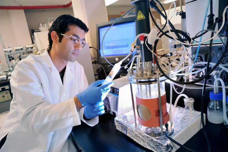 Chemical engineering among research areas at UA ranked ...