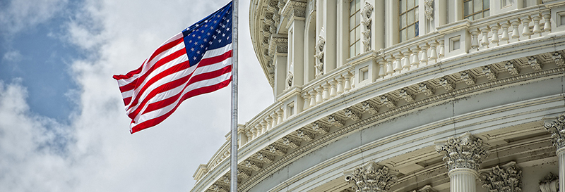 Flag over Capitol banner