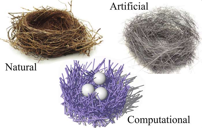 A diagram showing three types of nests