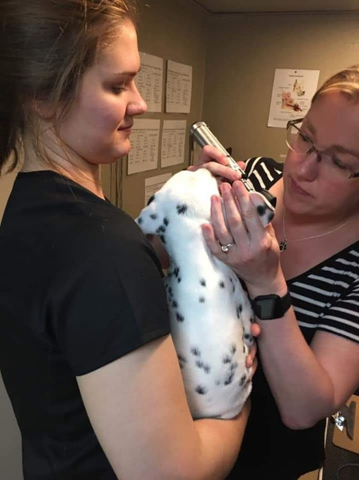 Dr. Sonstrom performing otoscopy at the FETCHLAB