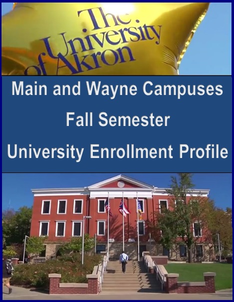 Main and Wayne Campuses Fall Semester University Enrollment Profile