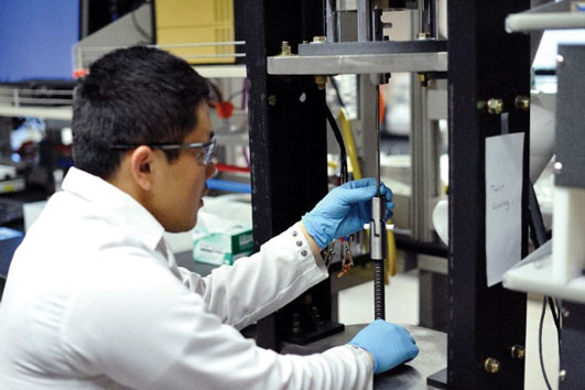 Researcher working with microorganisms