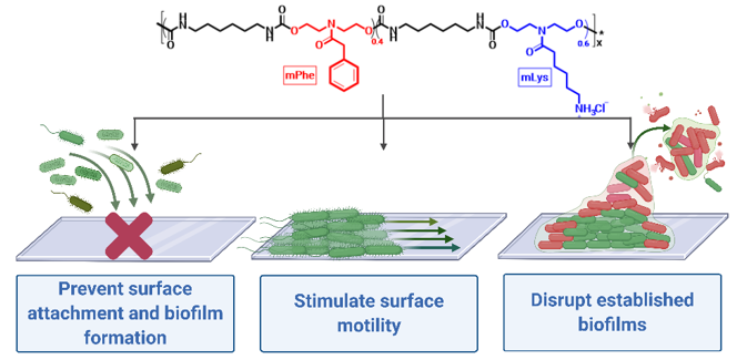 Joy-JACS-Antibiofilm-1