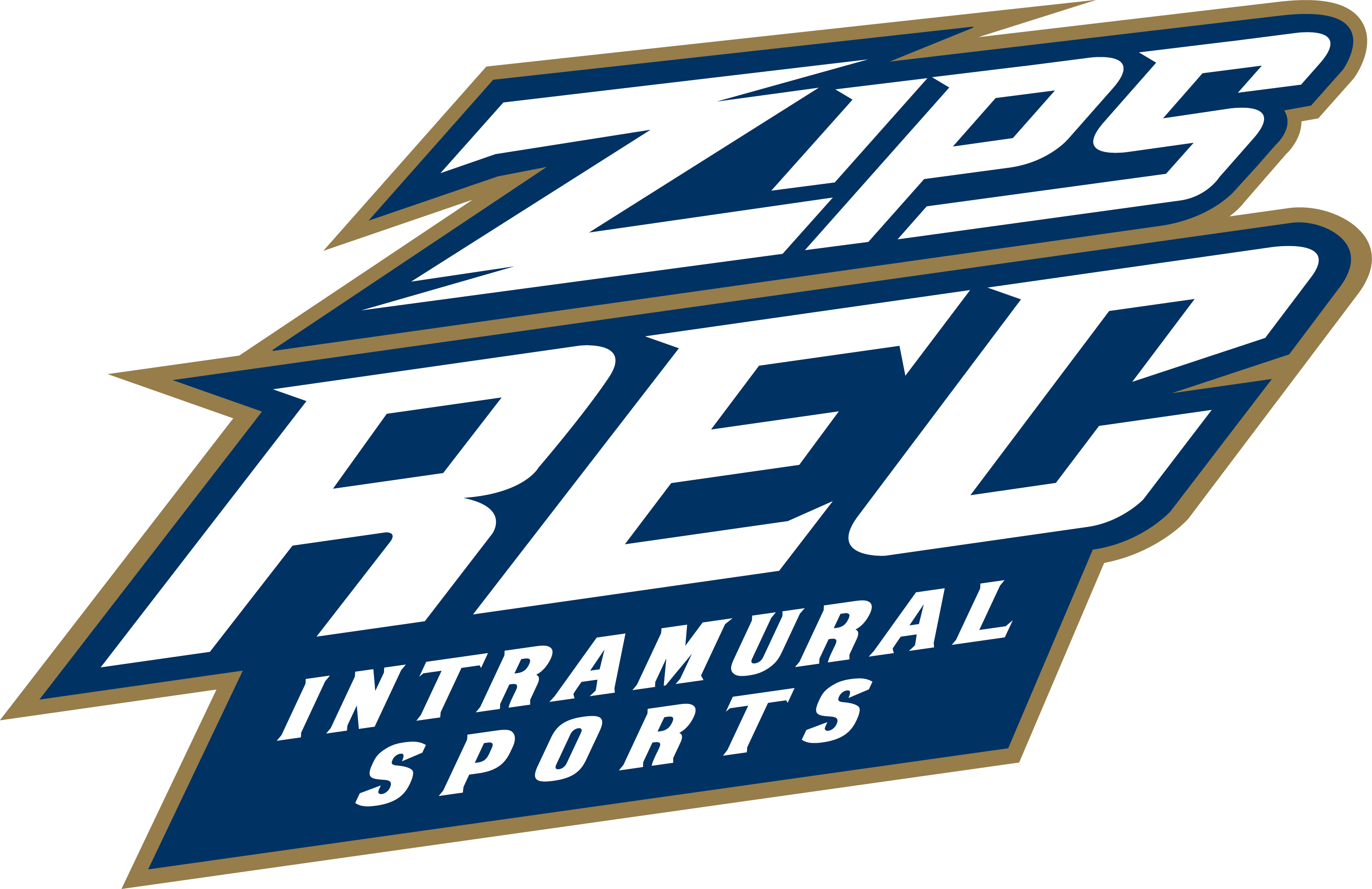 Zips Rec Intramurals