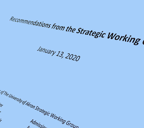 Cover of the Strategic Working Group recommendations