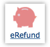eRefund logo