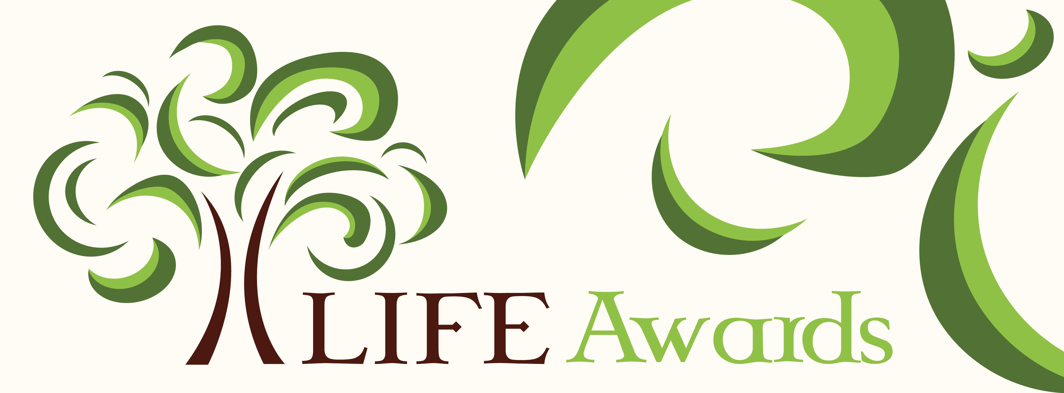 Life Awards The University Of Akron Life Awards The University Of Akron